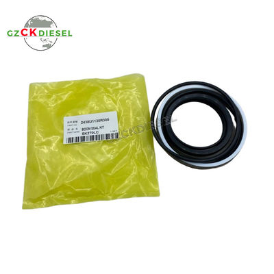 खरीदें OEM Quality Boom Cylinder Seal Kits 2438U1135R300 for SK220 SK220-3 SK270LC Excavator ऑनलाइन निर्माण