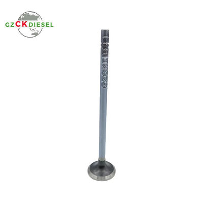 QSK45 QSK60 डीजल इंजन के लिए इनपुट वाल्व 4016438 3800955 3641540