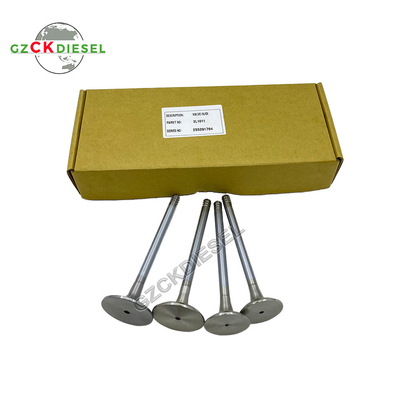 डीयूट्ज़ इंजन F2L1011F 2L1011 के लिए नया निकास वाल्व 04170899 इनपुट वाल्व 04272209